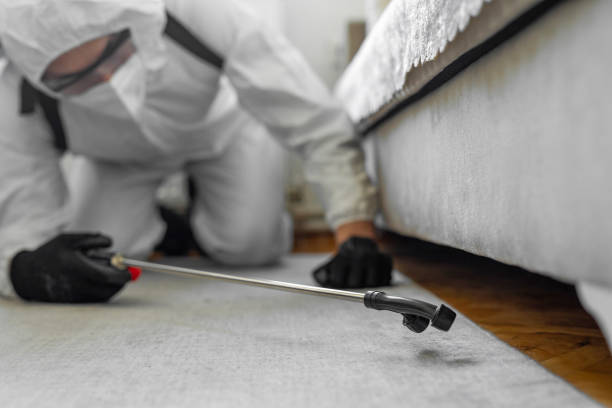 Professional Mosquito Control technician working in Dora, AL