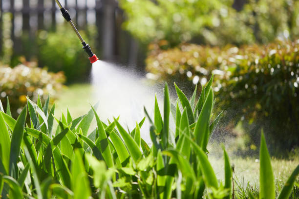 24/7 Emergency Mosquito Control experts in Dora, AL